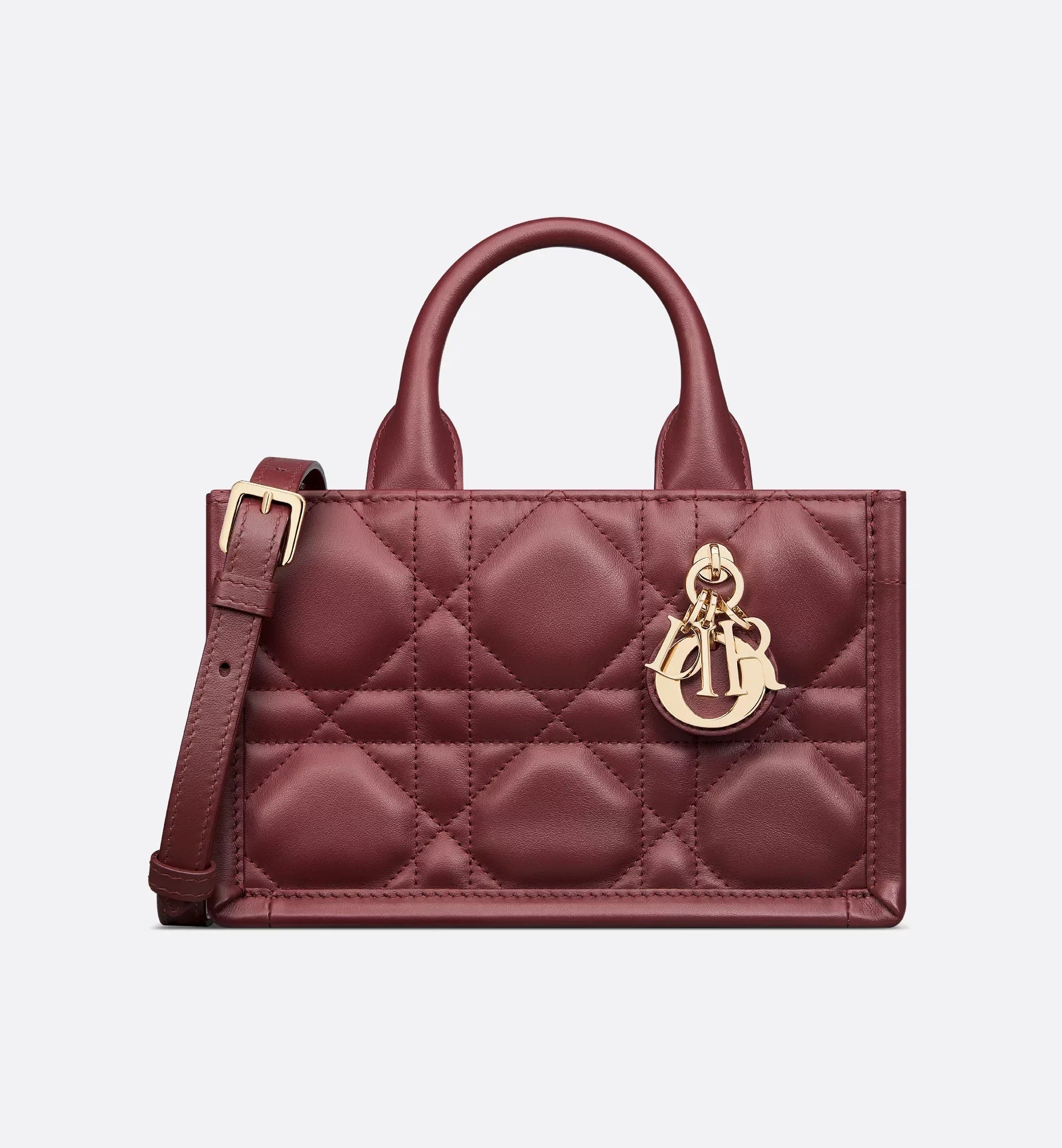 Mini Dior Book Tote