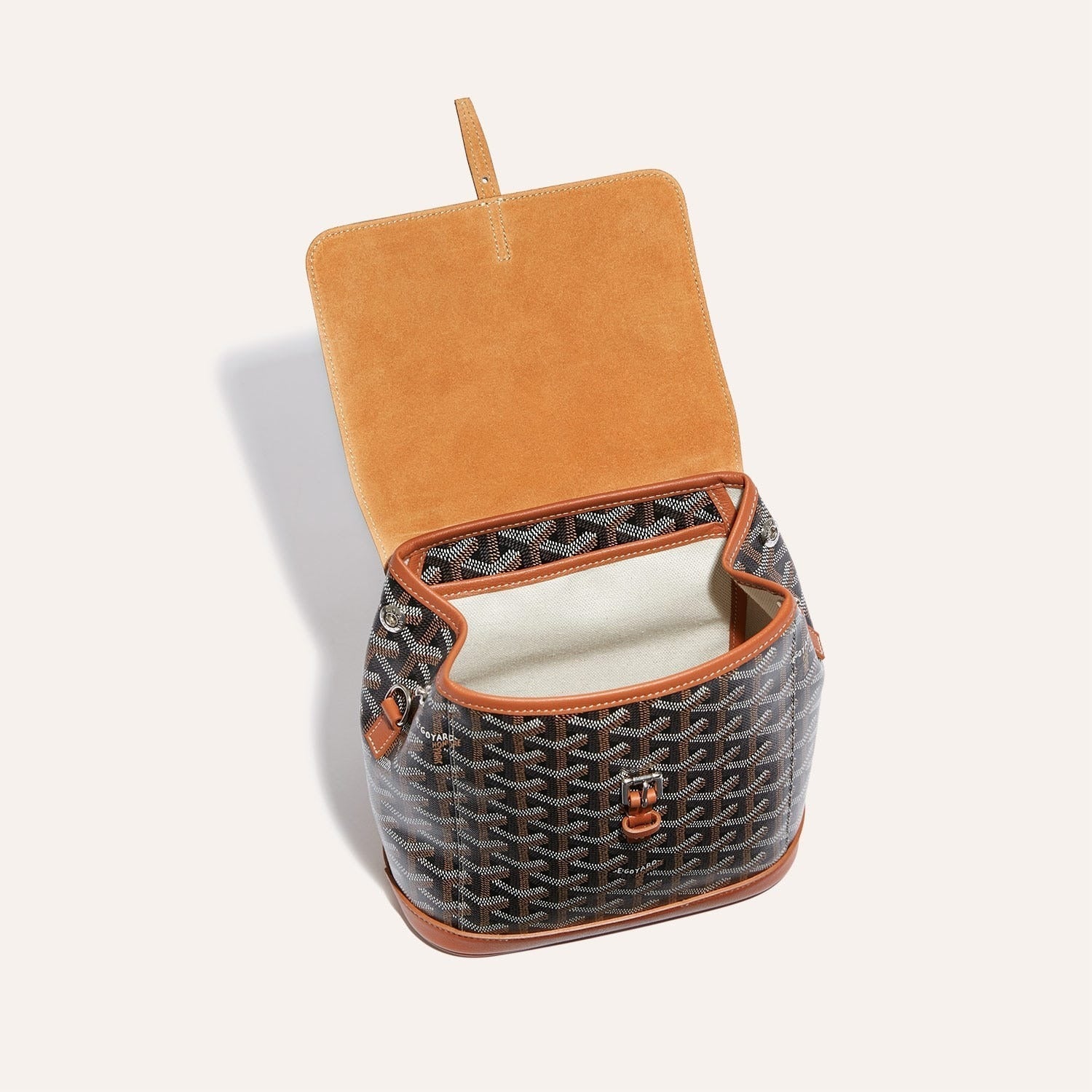Goyard Alpin Mini Backpack