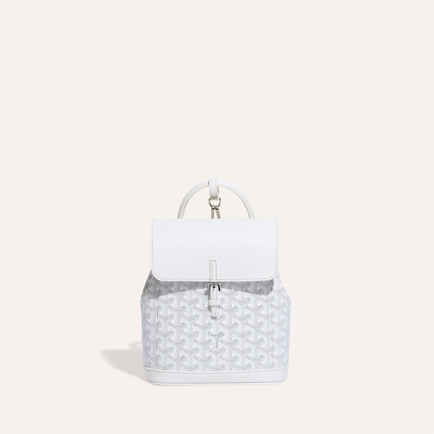 Goyard Alpin Mini Backpack