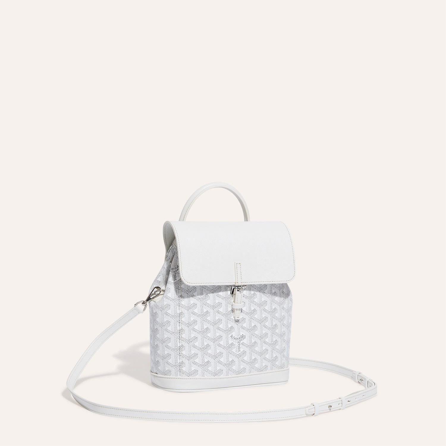 Goyard Alpin Mini Backpack