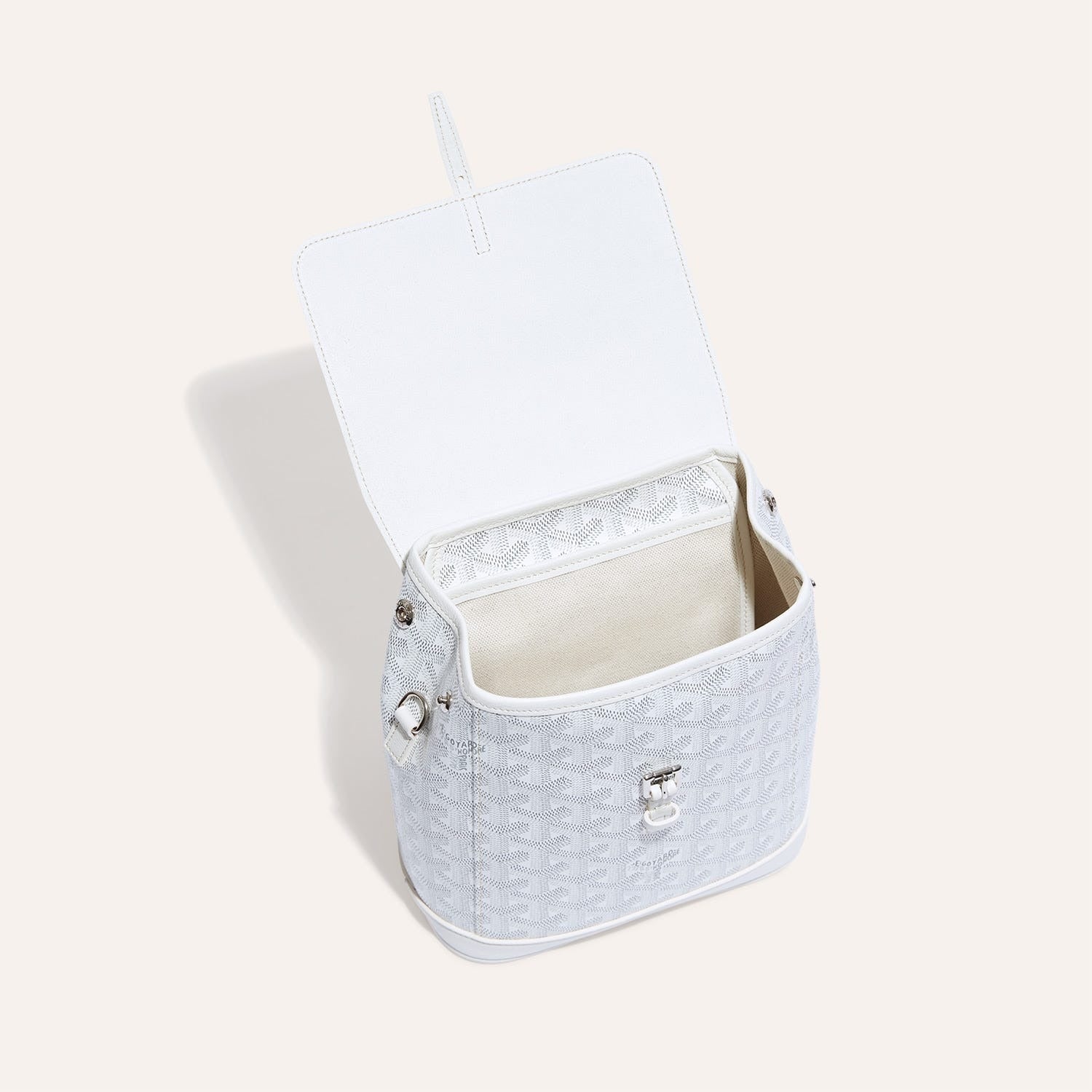 Goyard Alpin Mini Backpack