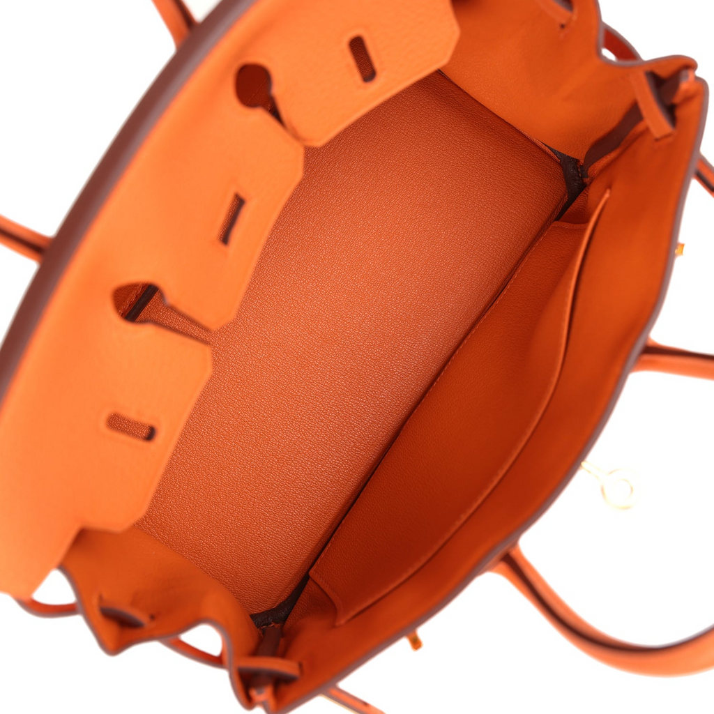 Birkin 25 Orange Togo Gold Hardware