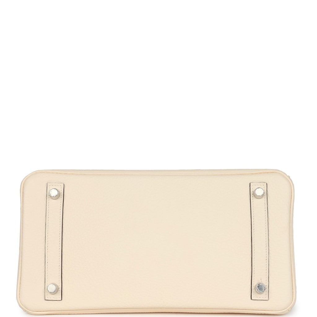 Birkin 30 Nata Clemence Palladium Hardware