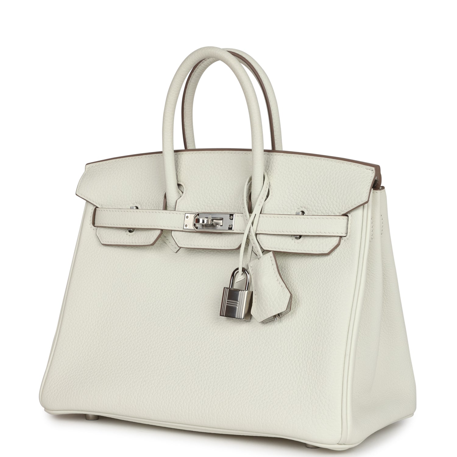 Birkin 25 Mushroom Togo Palladium Hardware