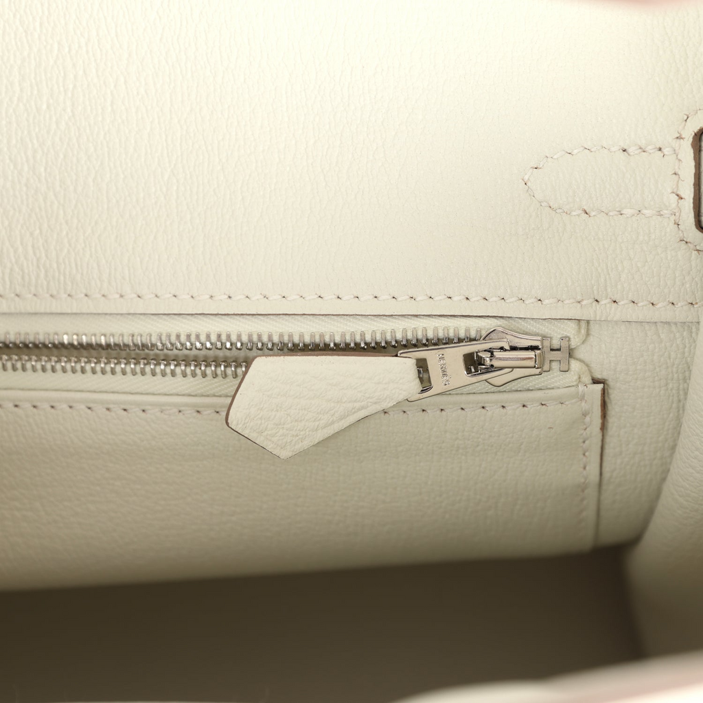 Birkin 25 Mushroom Togo Palladium Hardware