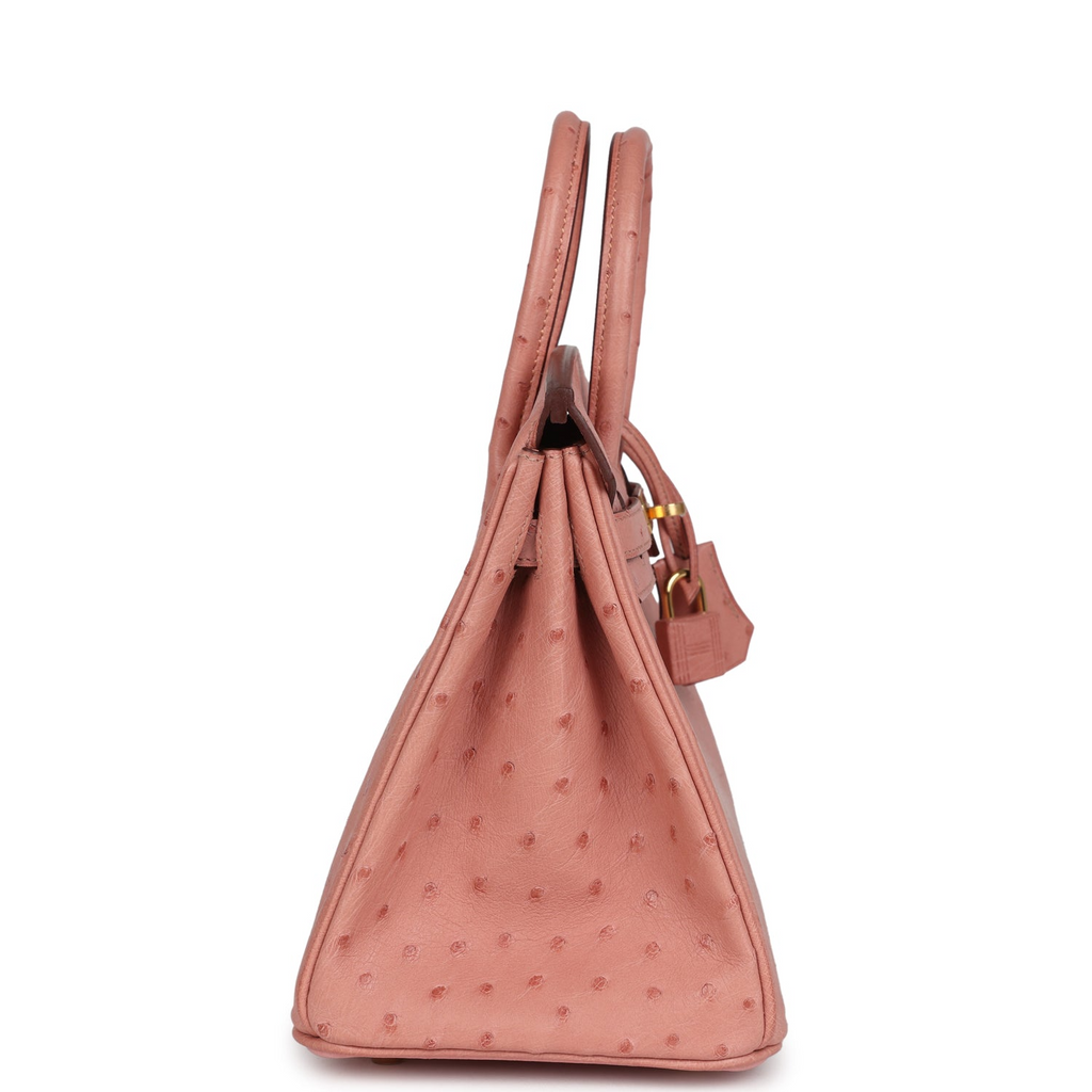 Birkin 25 Terre Cuite Ostrich Gold Hardware