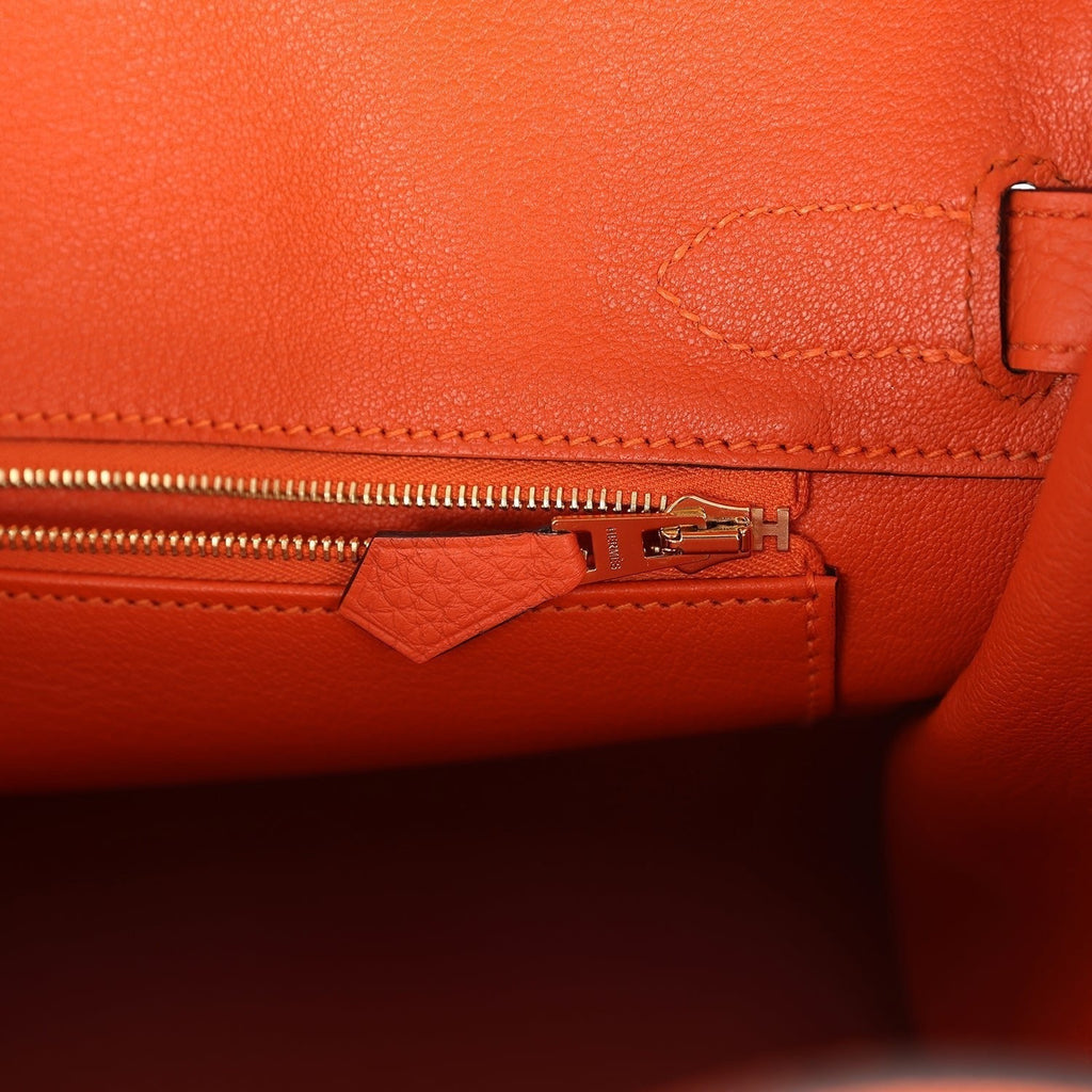 Birkin 30 Feu Togo Gold Hardware