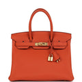Birkin 30 Terre Battue Togo Gold Hardware