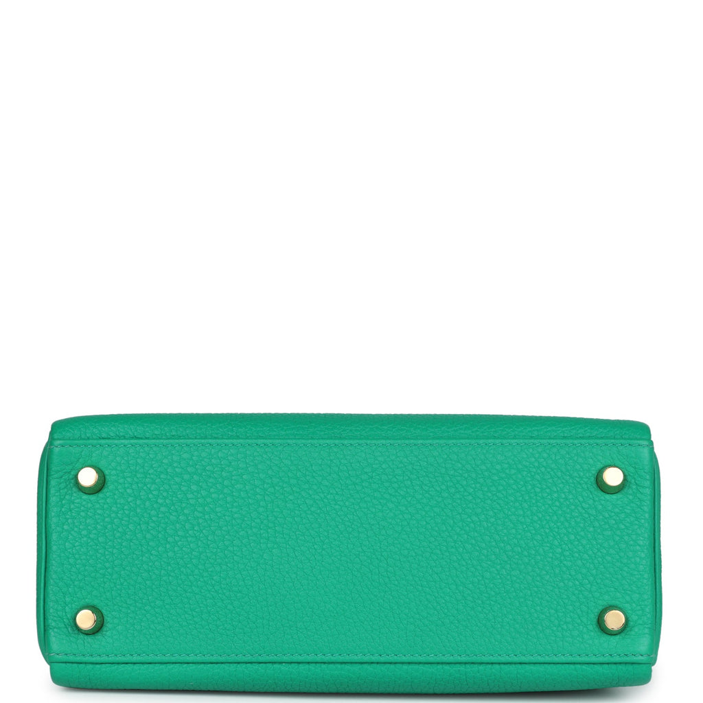Kelly Retourne 25 Menthe Togo and Varanus Niloticus Lizard Touch Permabrass Hardware