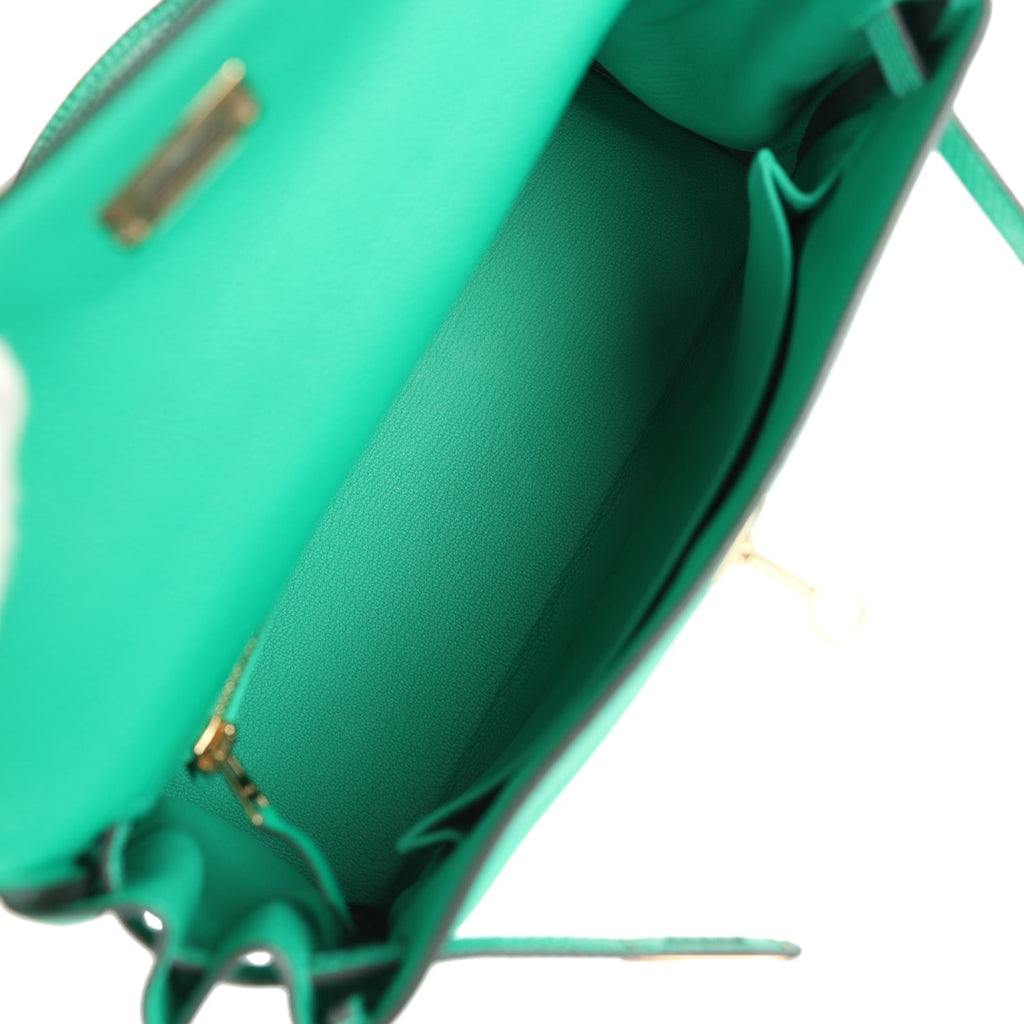 Kelly Retourne 25 Menthe Togo and Varanus Niloticus Lizard Touch Permabrass Hardware