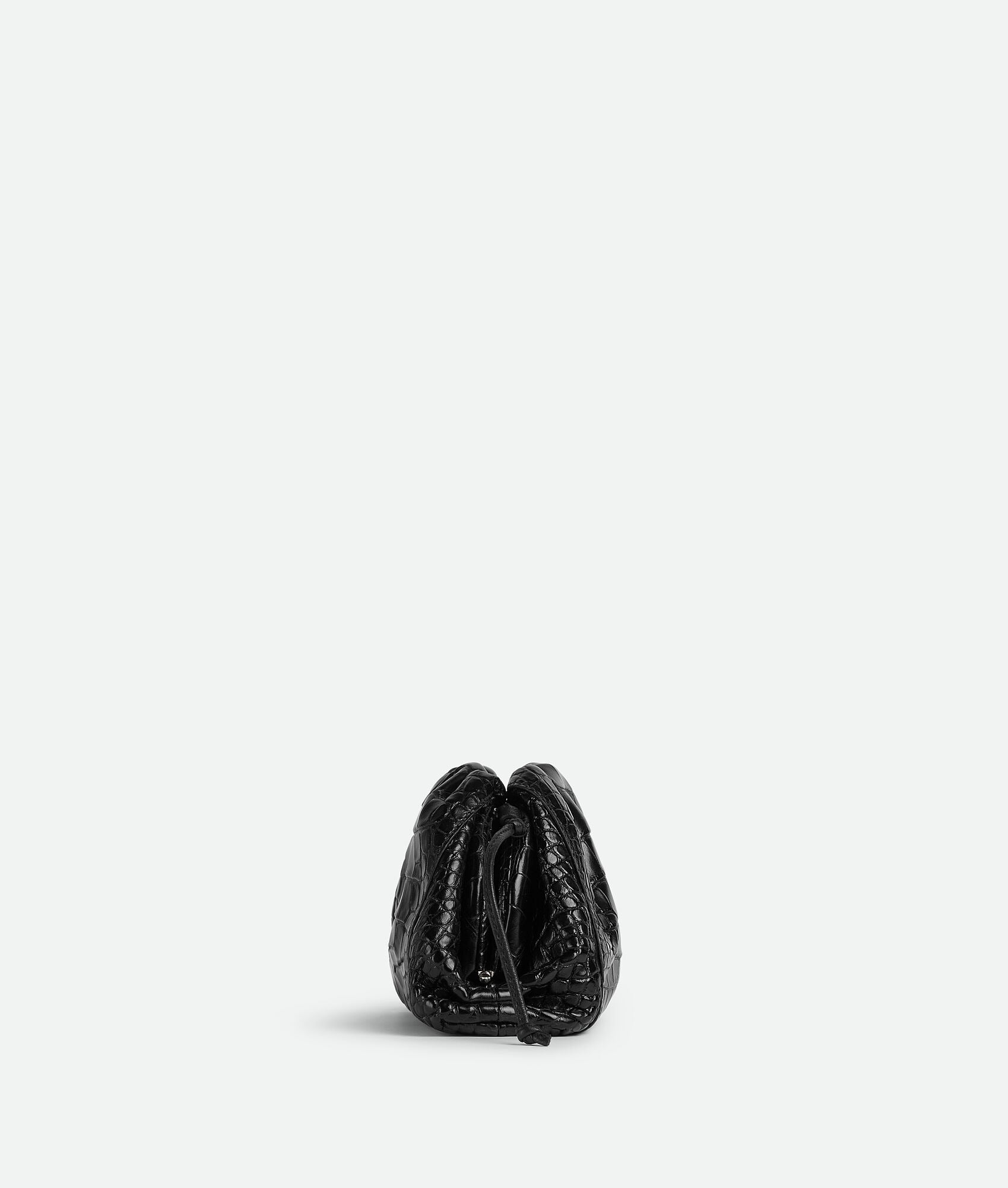 Bottega Veneta Mini Pouch