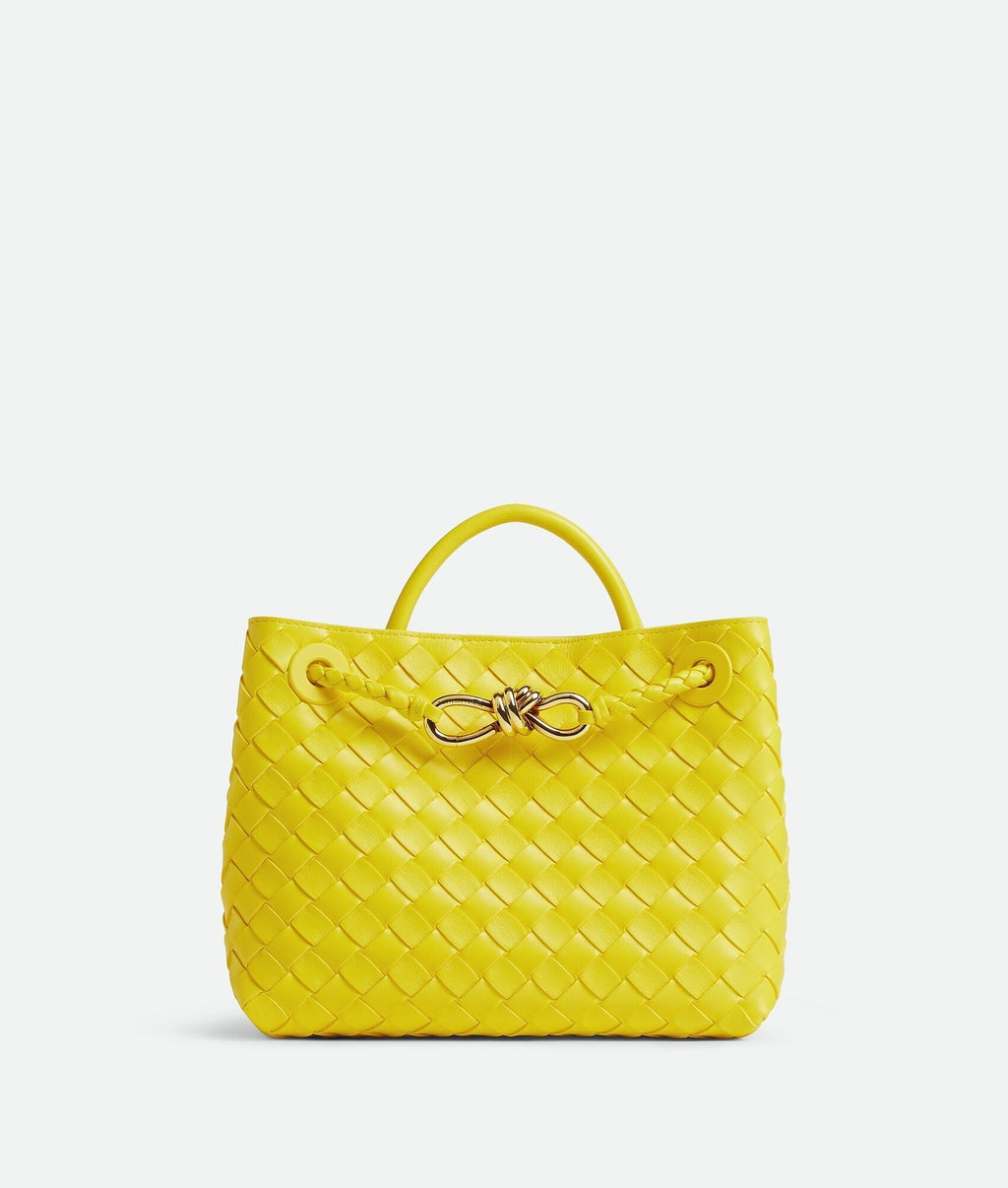 Bottega Veneta Small Andiamo