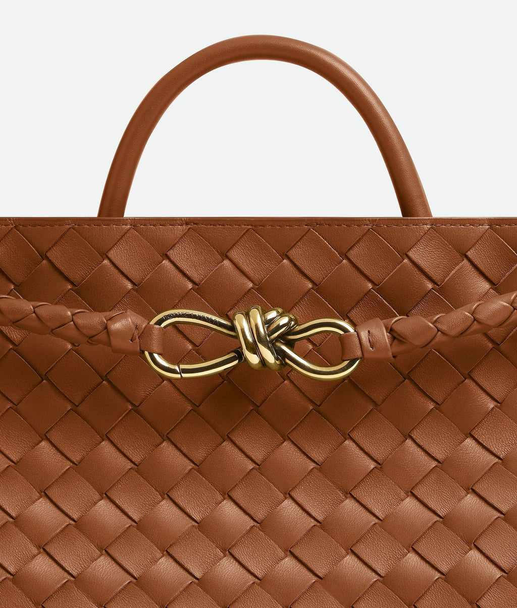 Bottega Veneta Medium Andiamo