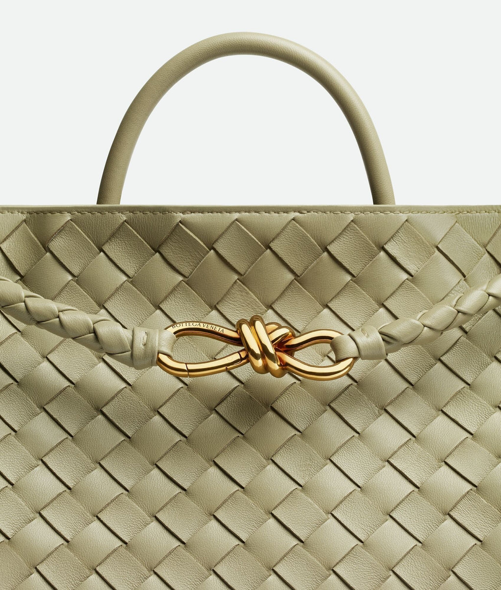 Bottega Veneta Medium Andiamo