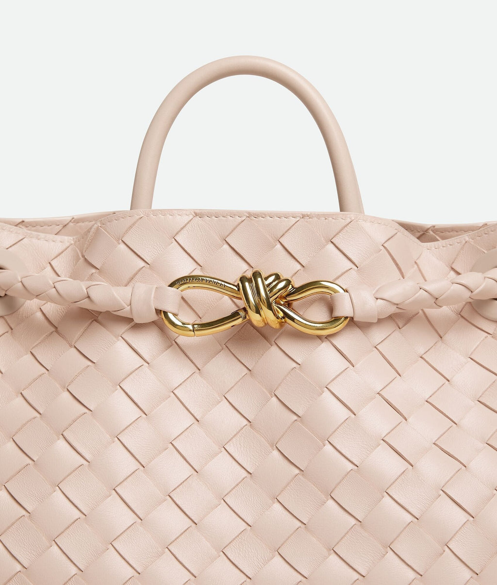 Bottega Veneta Medium Andiamo