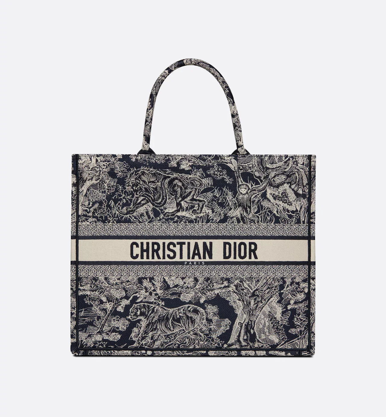 Large Dior Book Tote