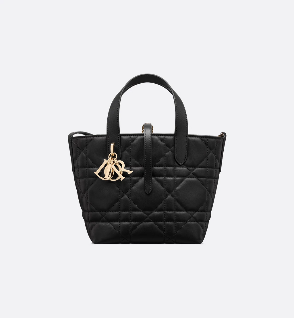 Dior Toujours Vertical Tote Bag