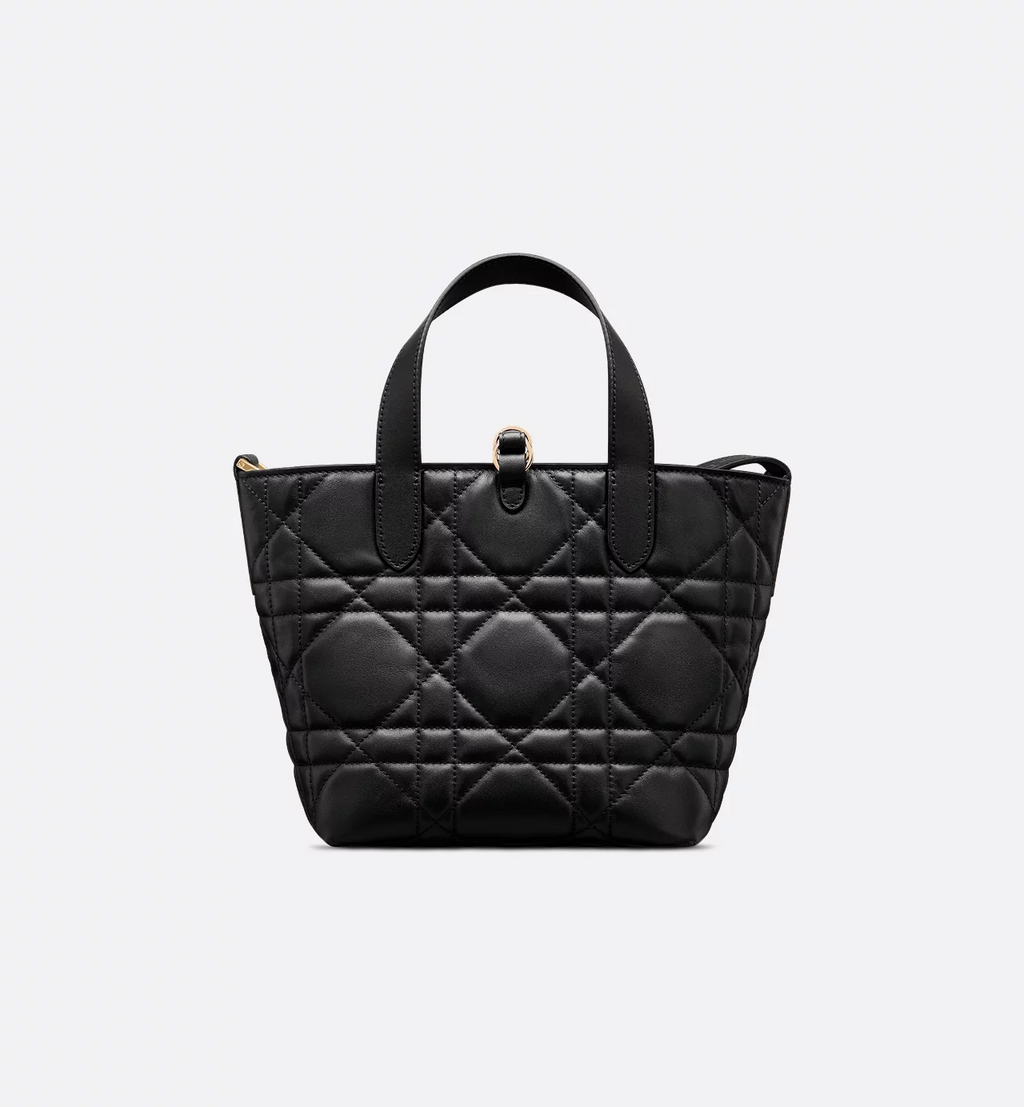 Dior Toujours Vertical Tote Bag
