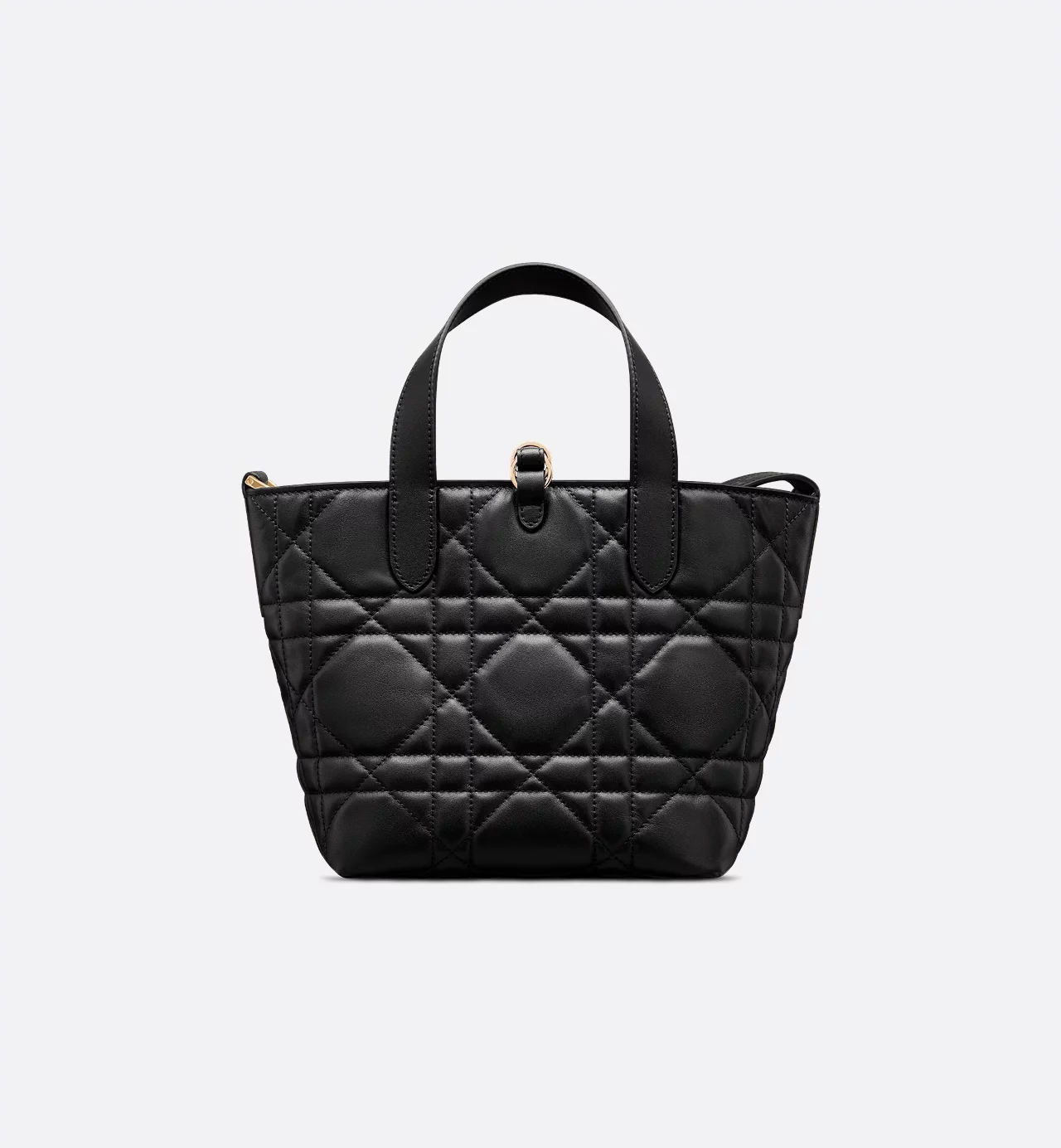 Dior Toujours Vertical Tote Bag