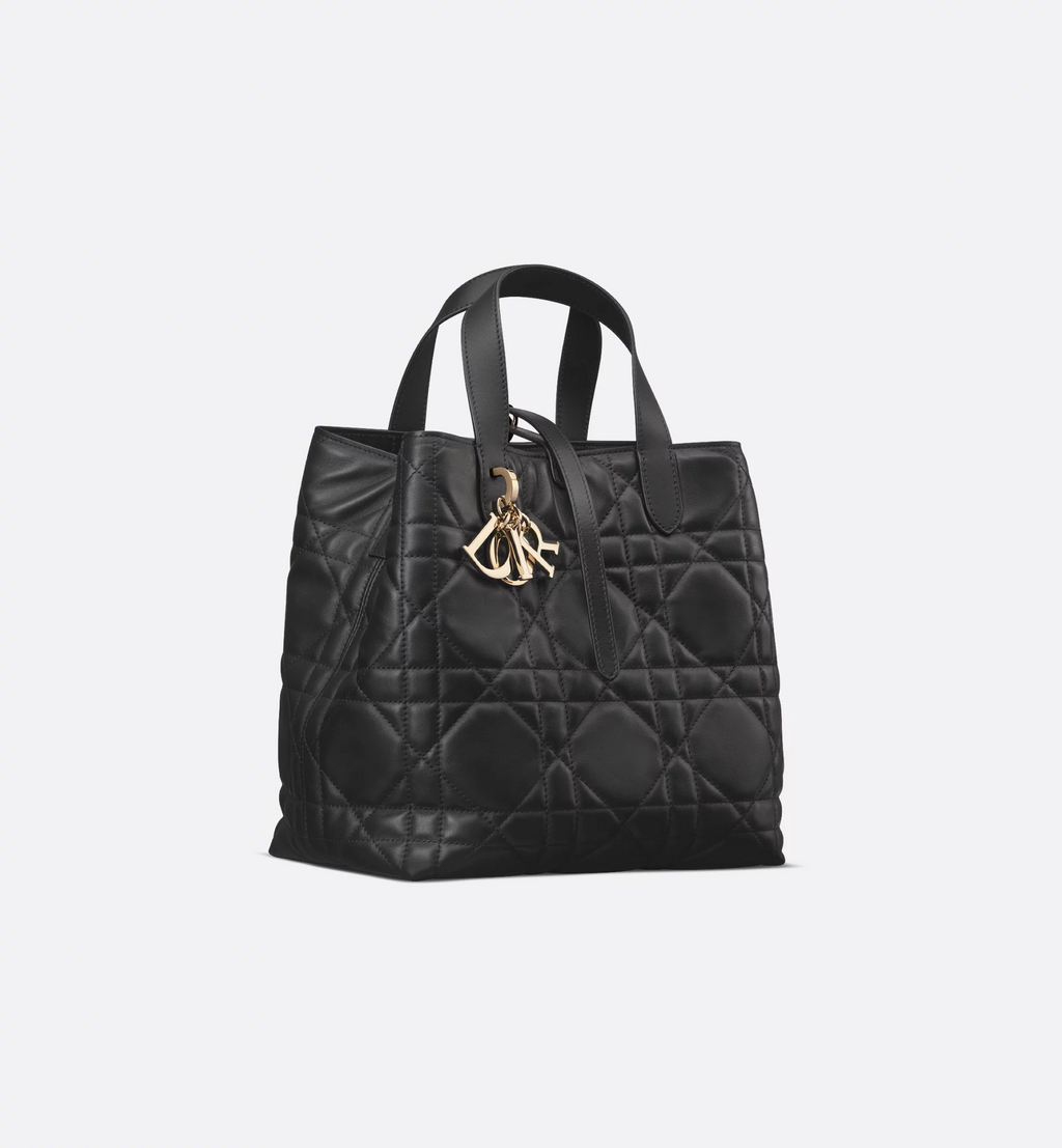 Dior Toujours Vertical Tote Bag