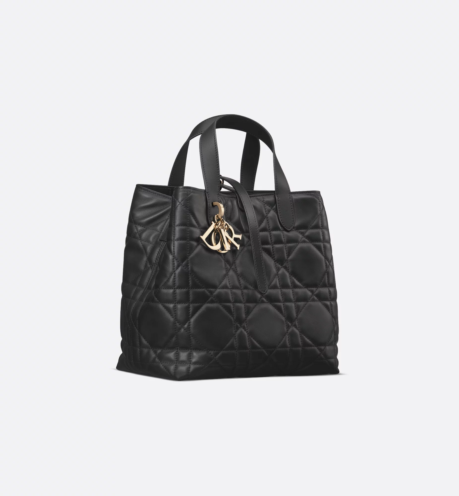 Dior Toujours Vertical Tote Bag