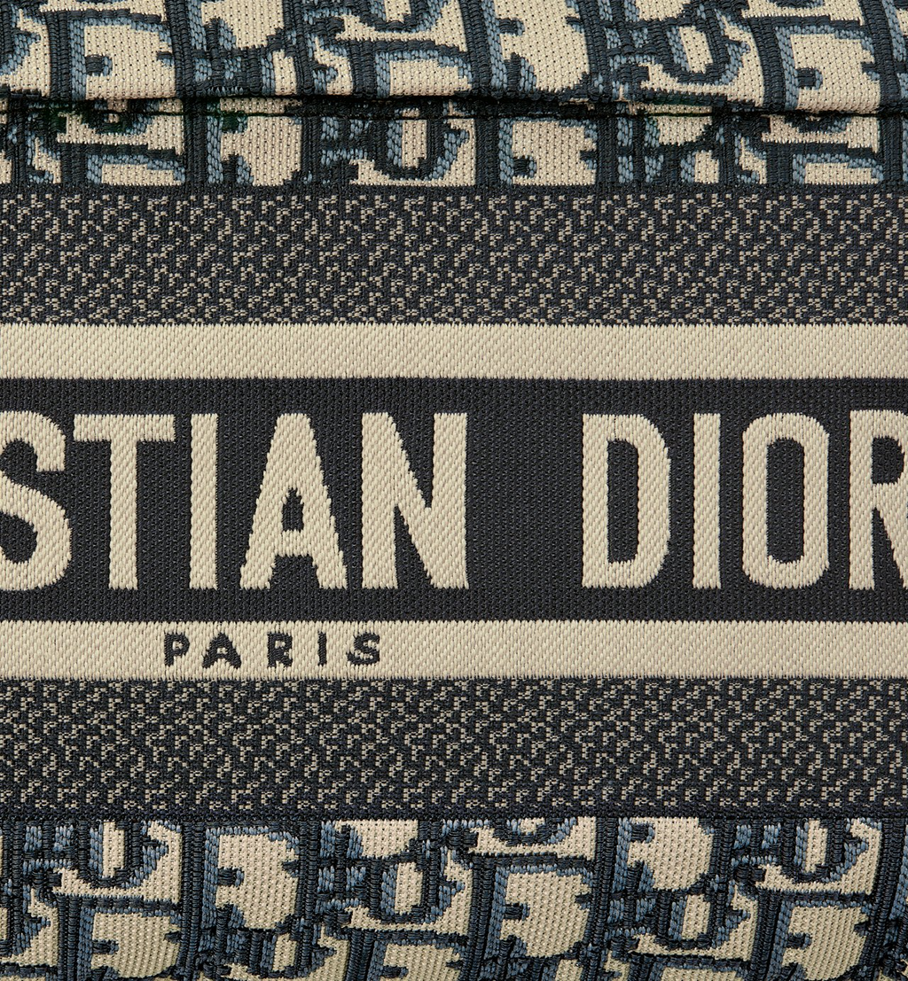 DiorTravel Backpack