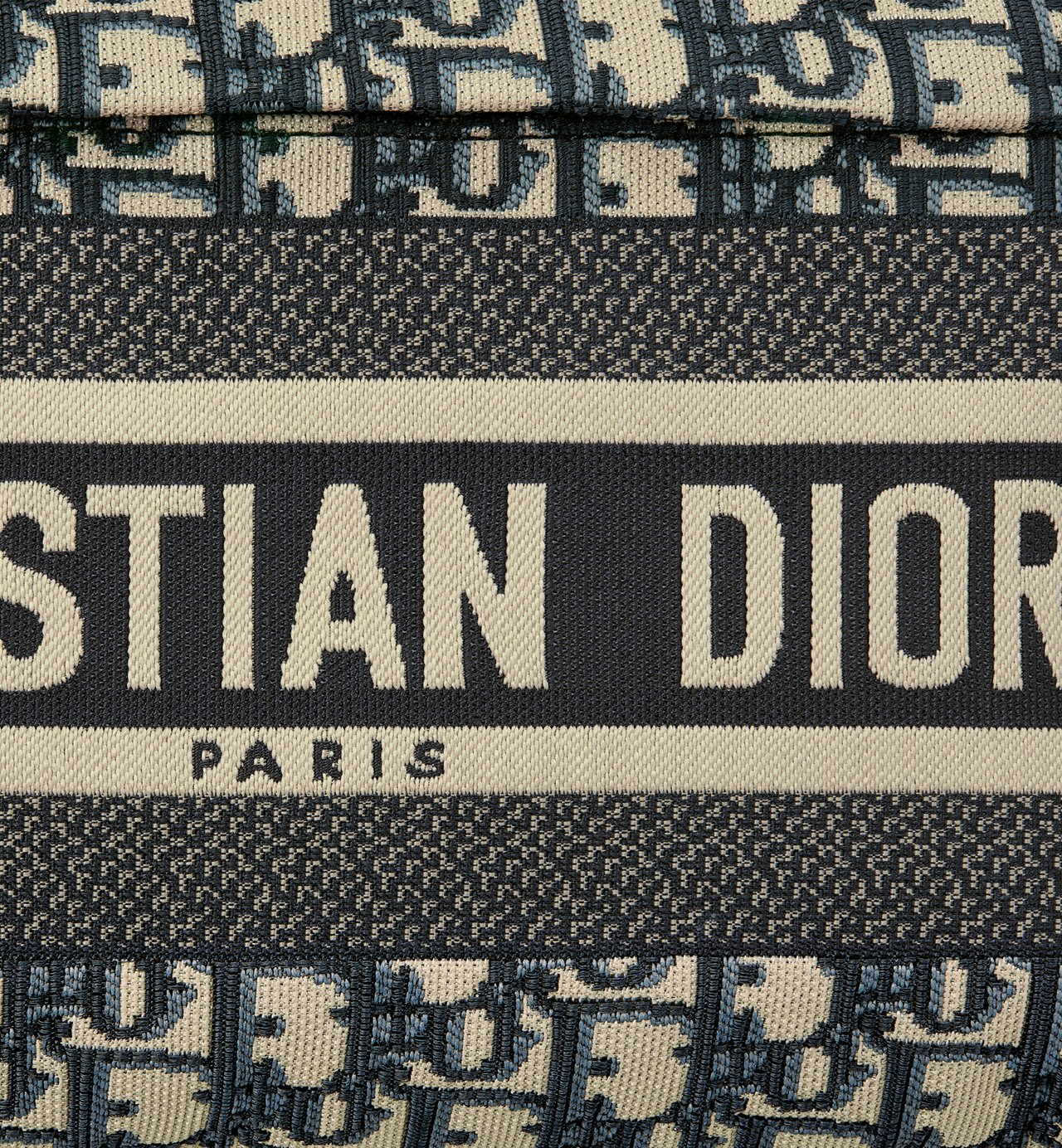 DiorTravel Backpack
