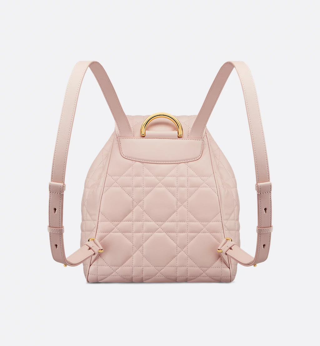 Dior Caro Backpack