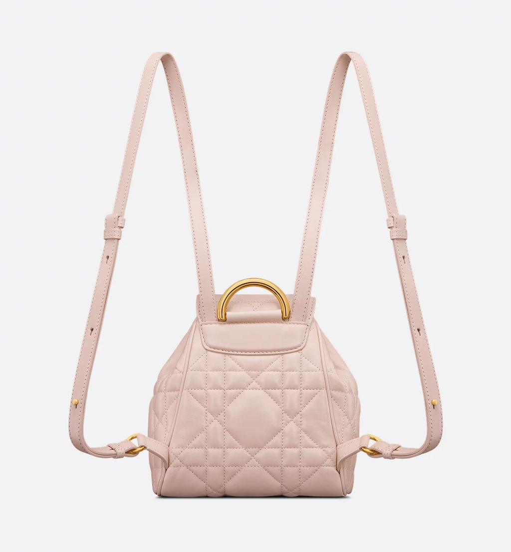 Dior Caro Backpack