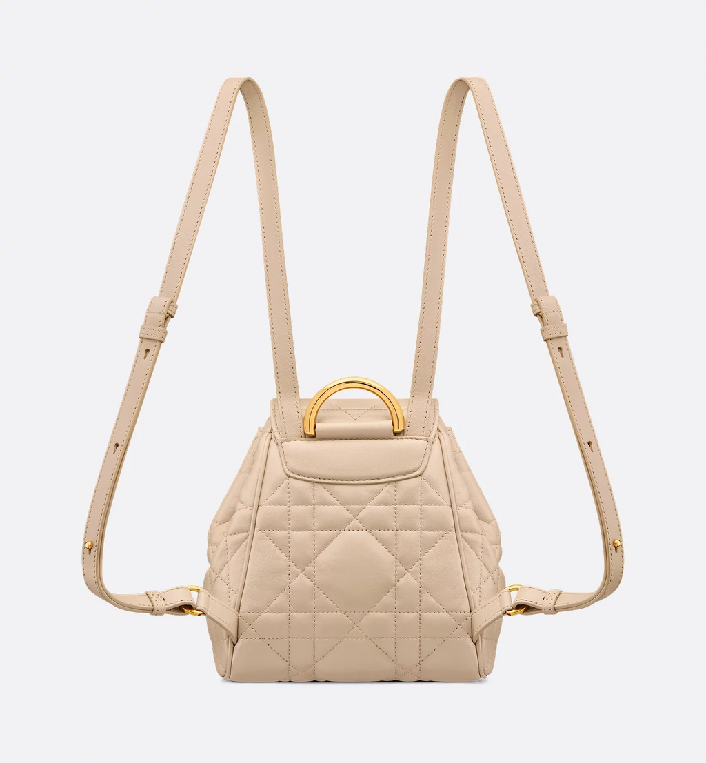 Dior Caro Backpack