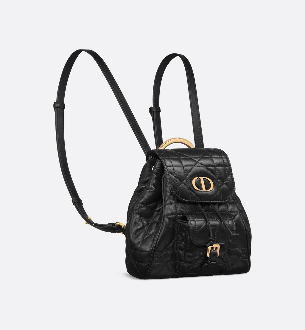 Dior Caro Backpack