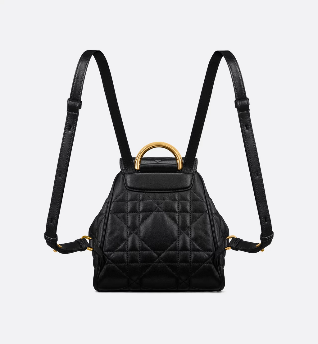 Dior Caro Backpack