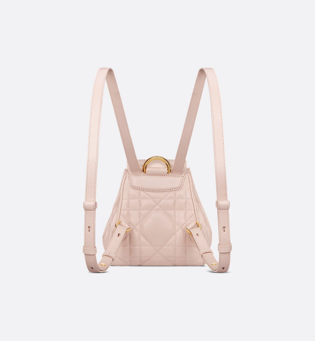 Dior Caro Backpack