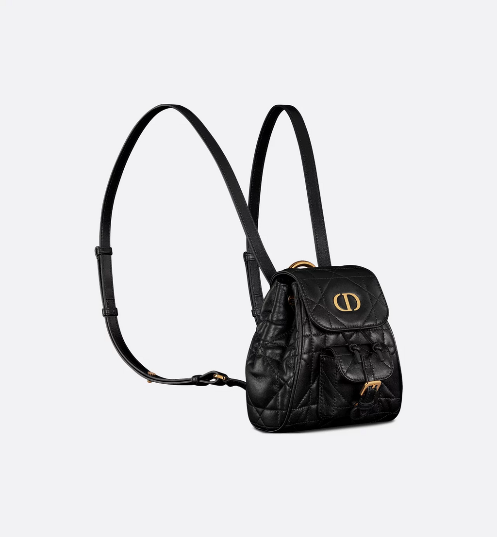 Dior Caro Backpack