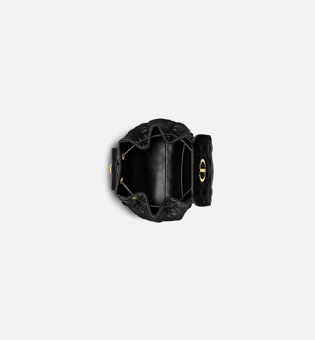 Dior Caro Backpack