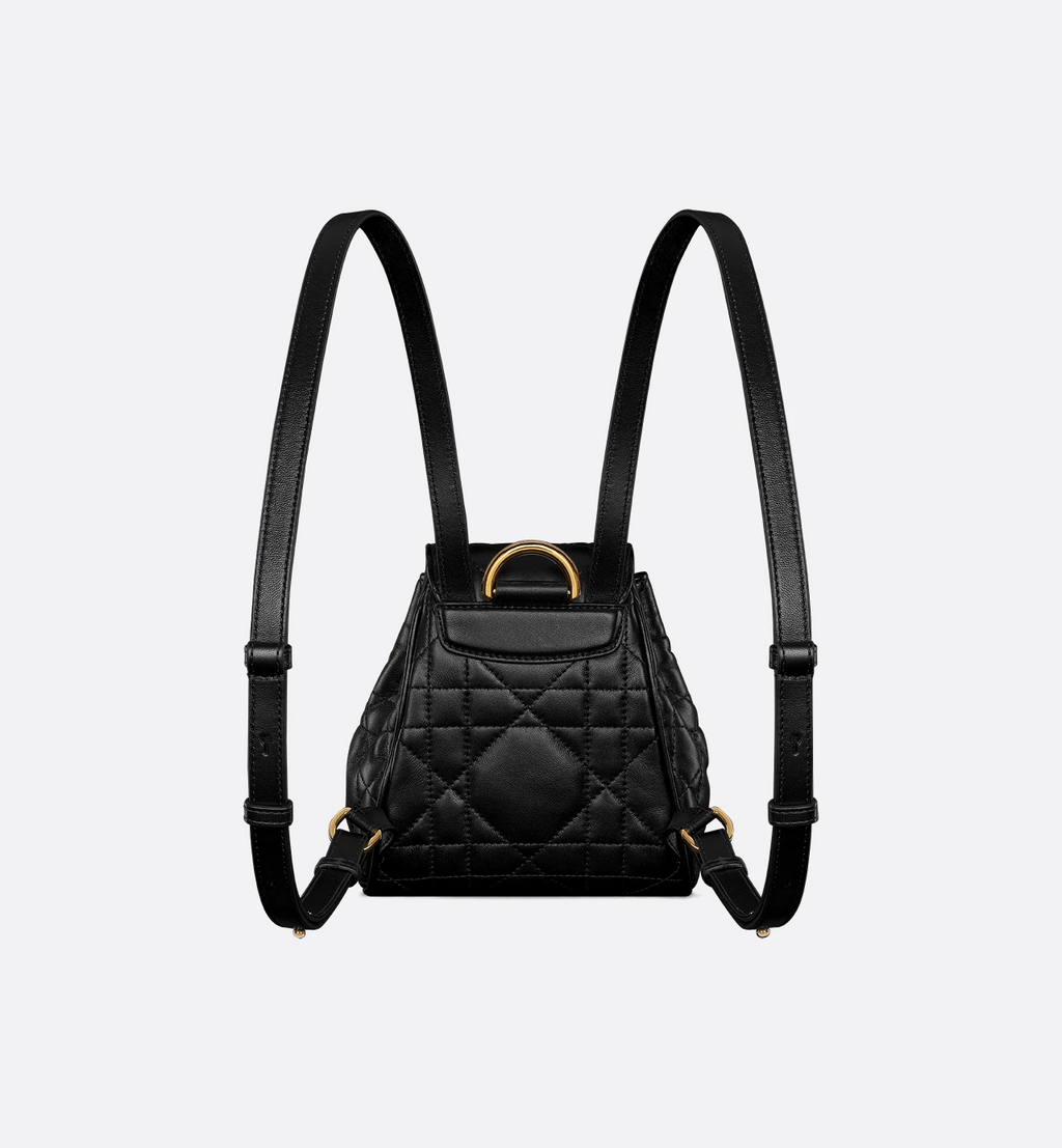 Dior Caro Backpack