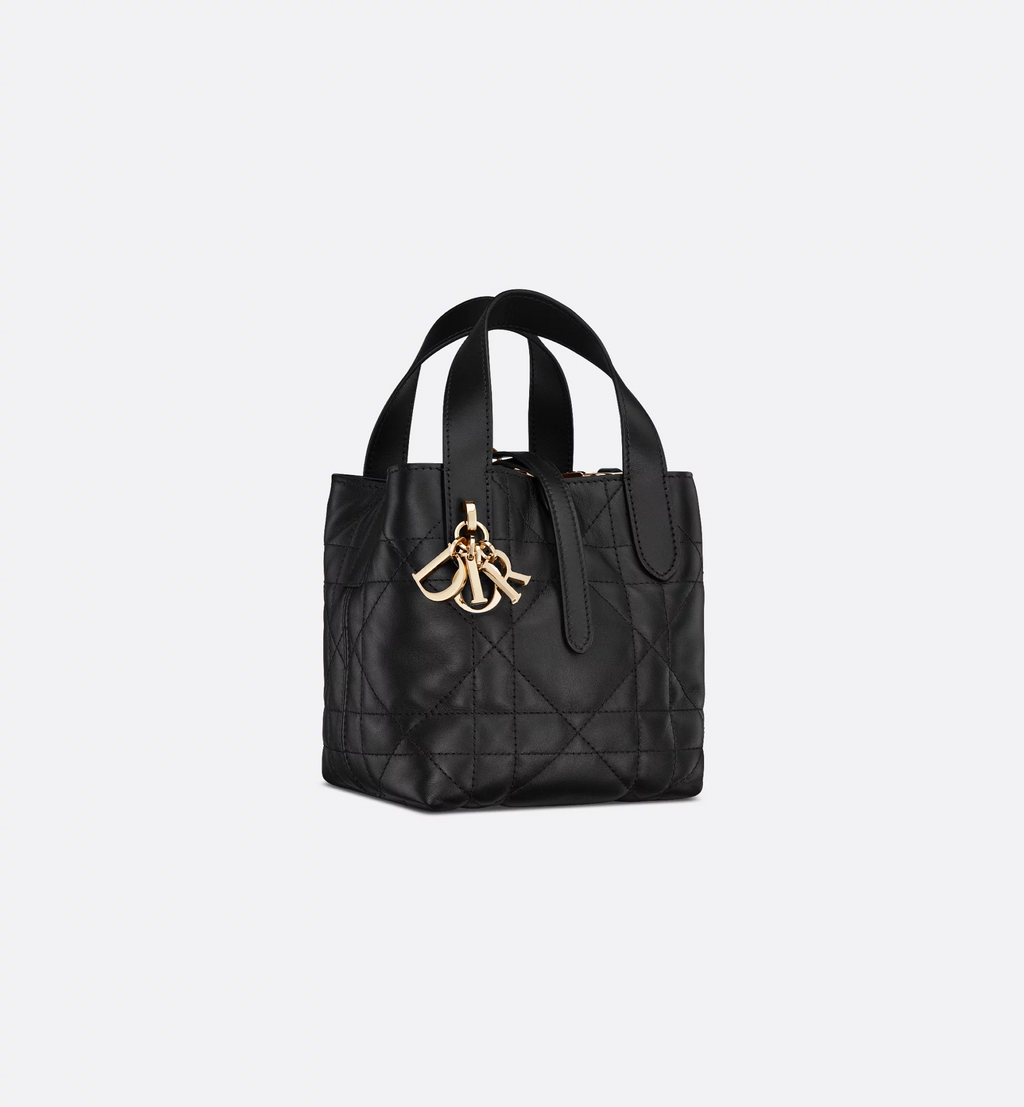 Dior Toujours Vertical Tote Bag